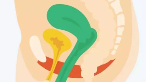 生完孩子一年了盆底肌还能恢复吗？