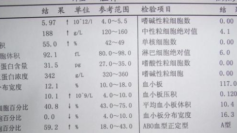 解读血常规（白细胞）