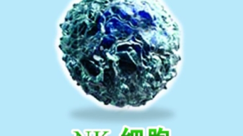 NK细胞疗法——防癌抗衰老，提升免疫力