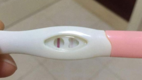 验孕棒多少钱一支呢