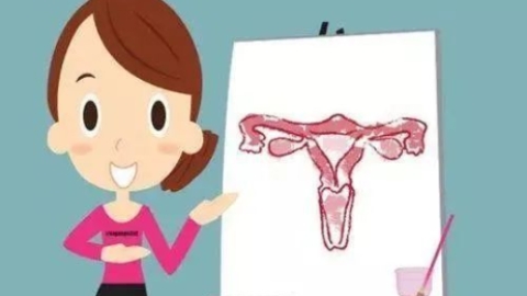 女性雌激素偏低怎么调理？