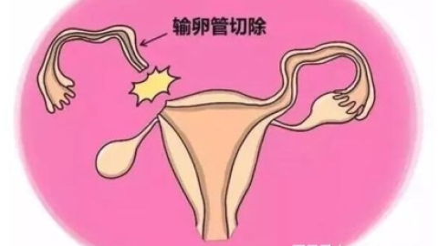 胚胎着床是这种感觉，代表“有戏”
