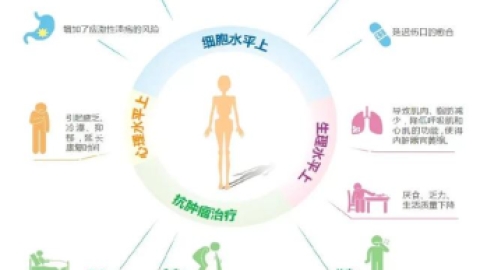 JAMA子刊：辅助生殖与后代肿瘤