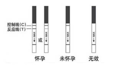 hcg是什么意思？hcg正常值范围是多少？