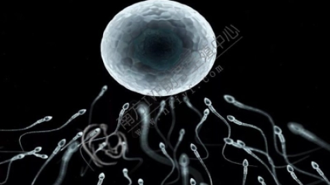 弱精症:弱精症的3大典型症状，能否自然怀孕得看这些