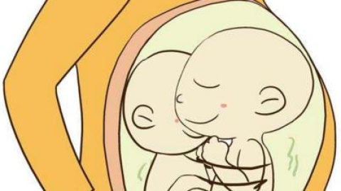 教你如何轻松怀生双胞胎