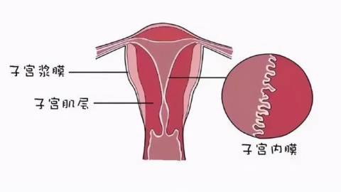 ​黄体期是什么时候