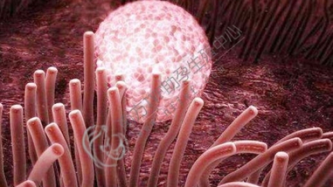 着床降温是开始着床还是已经成功？为你解读其前后关系