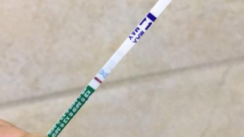 排卵试纸强阳孕酮高吗