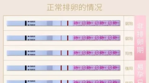 排卵试纸强阳后多久排卵 强阳后多久同房