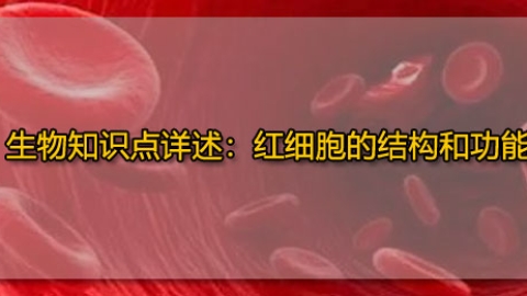 生物知识点详述：红细胞的结构和功能