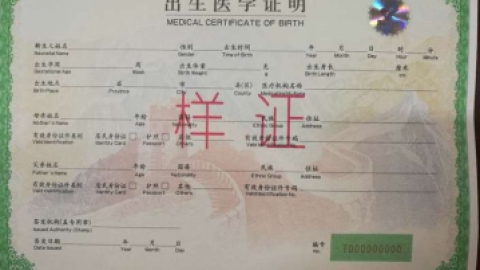 出生医学证明制度办理流程_基础医学_医药卫生_专业资料