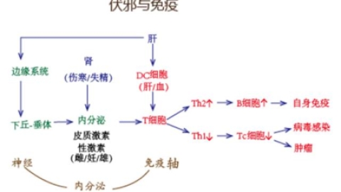 nk细胞输液基本技巧方法