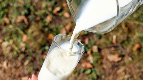 宝宝吐奶像酸奶状浓厚 宝宝吐奶后该怎么办更新时间:2018-05-22