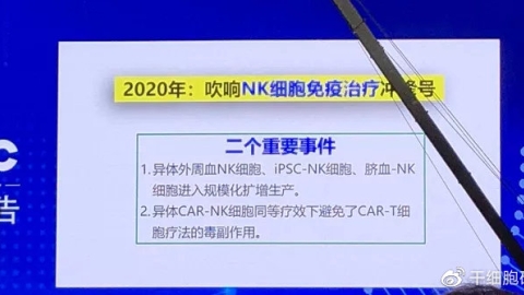 NK细胞：肿瘤的“天生杀手”