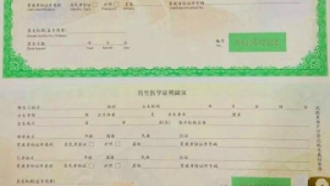 出生证明办理