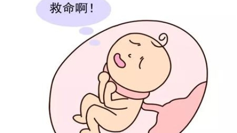 为什么有人能怀上双胞胎？什么情况容易生双胞胎？准确答案在这里