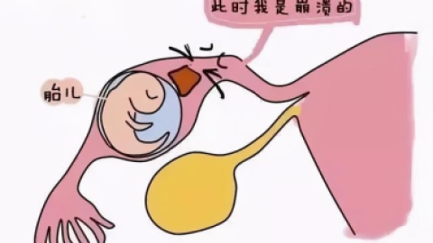 怀孕孕酮正常值是多少