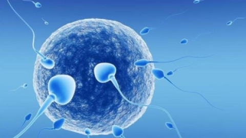 试管婴儿治疗前男性必知的四项关键准备与科学依据