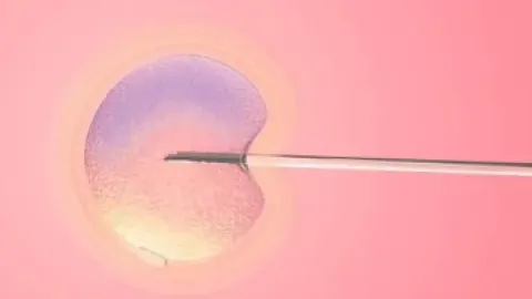 想要试管婴儿一次成功，有哪些捷径呢？