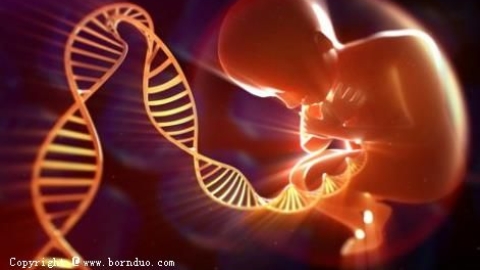 试管婴儿备孕全流程指南：促排取卵移植关键步骤解析