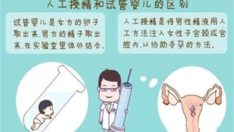人工授精与试管婴儿的区别：定义、适用人群及影响因素详解