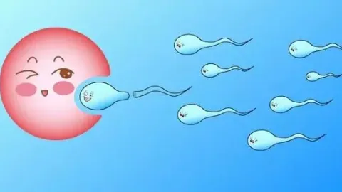 试管婴儿过程是如何做的呢?附试管婴儿收费明细