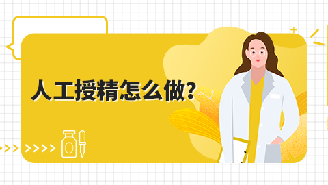 人工授精怎么做？