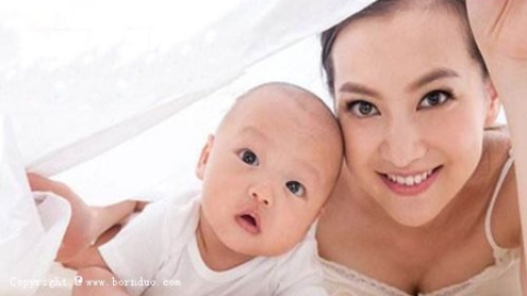 试管婴儿胚胎形成过程详解：从精子筛选到受精方式