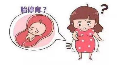 胚胎停育与流产的区别及应对指南：医生解读与心理支持