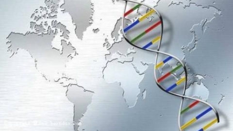 美国第三代试管婴儿技术如何突破染色体异常难题，提高成功率
