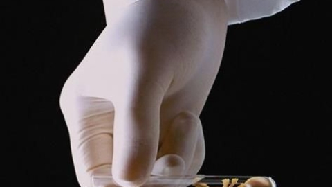 试管婴儿能控制性别吗？双胞胎性别选择技术与国内限制详解