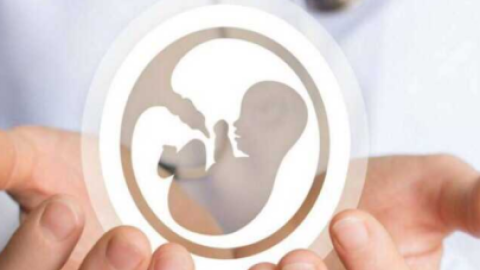 试管婴儿的主要优势解析：适应症、优生与生育时间控制