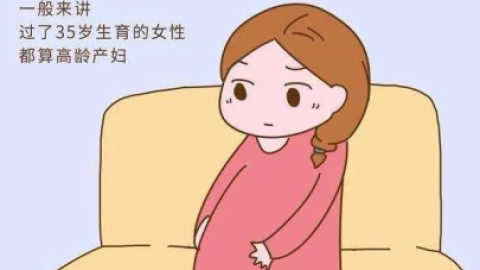 老年女性科学备孕指南：关键检查与营养补充
