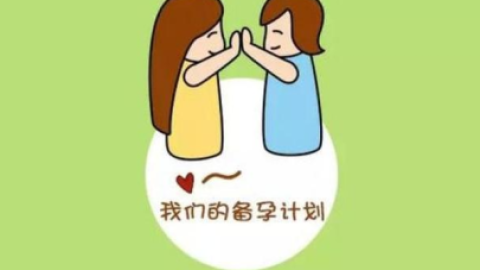 男性排毒备育指南：饮食调理与关键营养素补充