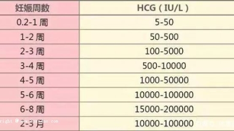 囊胚移植后10天关键过程与验孕时机解析
