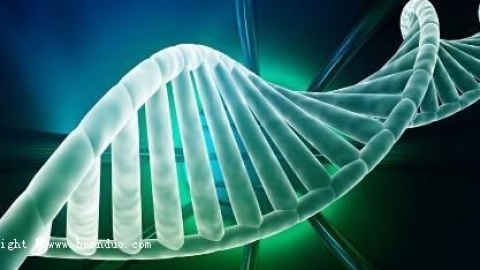 试管婴儿术前术后调理指南：抗氧化剂与营养补充方案