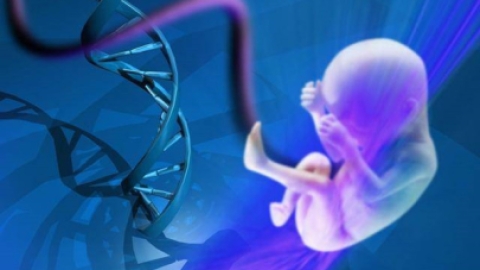 试管婴儿染色体筛查的重要性：高龄女性优生优育的关键
