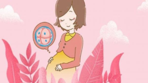 试管助孕不必辞职：如何平衡工作与备孕全攻略