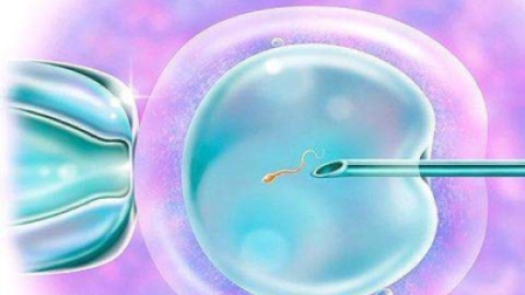 俄罗斯试管婴儿成功关键：女性卵巢功能评估与保养指南